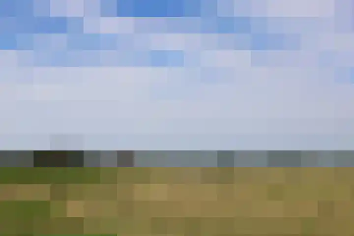 De Kolper 9 Megen thumbnail 43