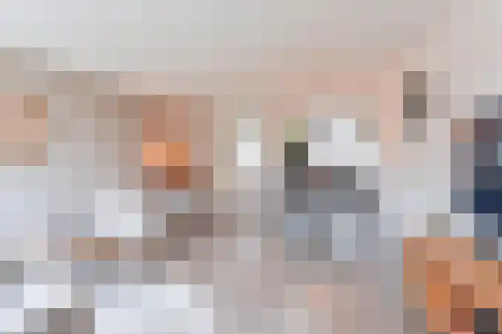 De Komenij 13 Noordscheschut thumbnail 11