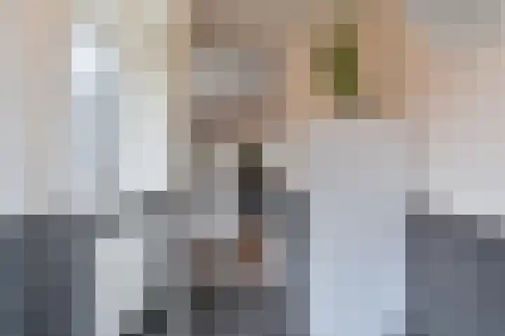 De Komenij 13 Noordscheschut thumbnail 19
