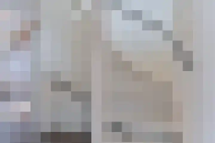 De Komenij 13 Noordscheschut thumbnail 20