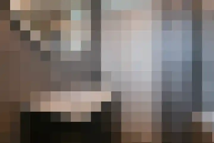 De Komenij 13 Noordscheschut thumbnail 29