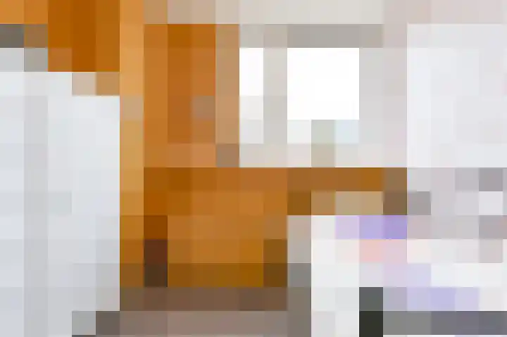 De Komenij 13 Noordscheschut thumbnail 36