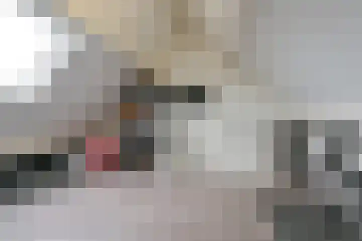 De Komenij 13 Noordscheschut thumbnail 38
