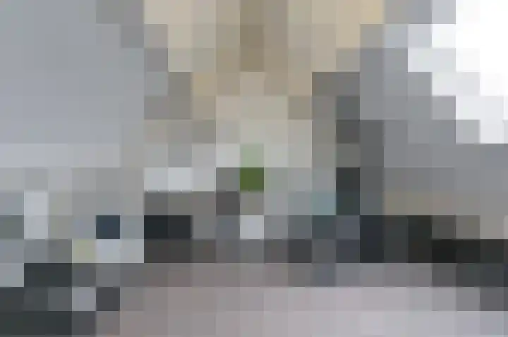 De Komenij 13 Noordscheschut thumbnail 39