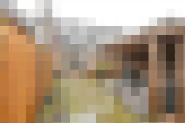De Komenij 13 Noordscheschut thumbnail 42
