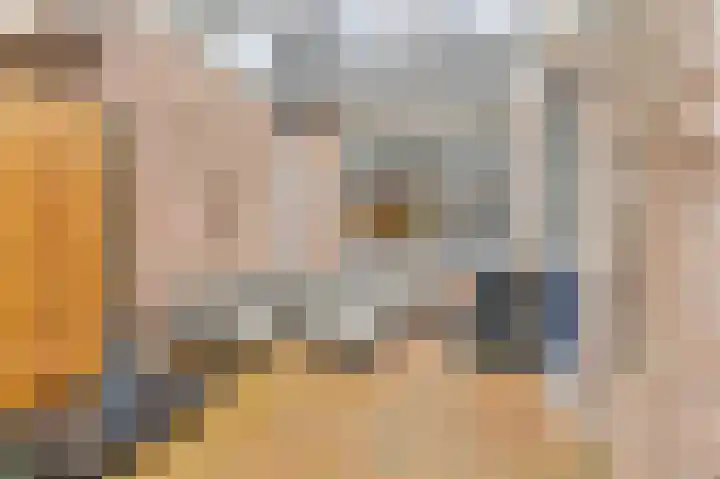 De Komenij 13 Noordscheschut thumbnail 43