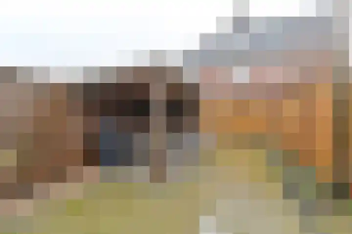 De Komenij 13 Noordscheschut thumbnail 44