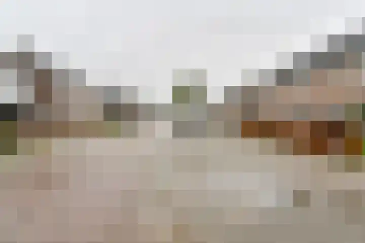 De Komenij 13 Noordscheschut thumbnail 46