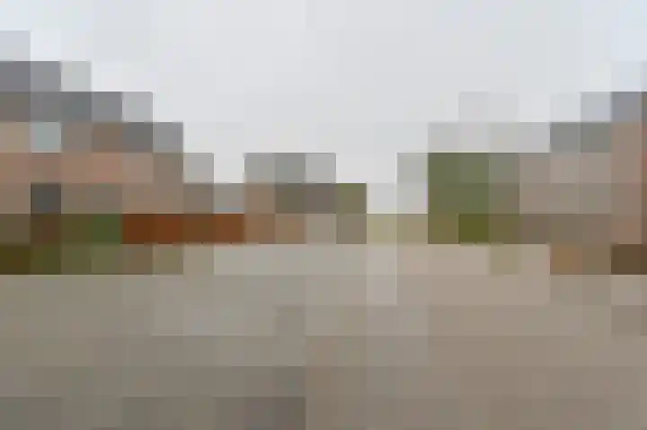 De Komenij 13 Noordscheschut thumbnail 47