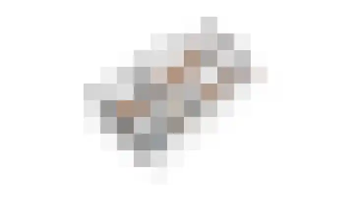 De Komenij 13 Noordscheschut thumbnail 51