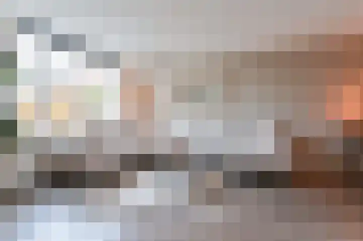 De Komenij 13 Noordscheschut thumbnail 7