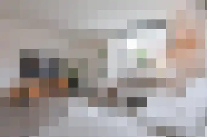 De Komenij 13 Noordscheschut thumbnail 8