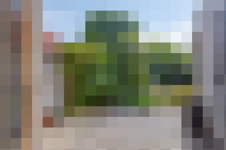 De Komme 15 Kapelle thumbnail 10