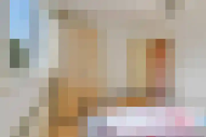 De Komme 15 Kapelle thumbnail 34