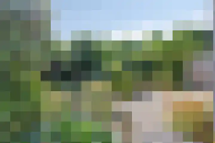 De Komme 15 Kapelle thumbnail 4