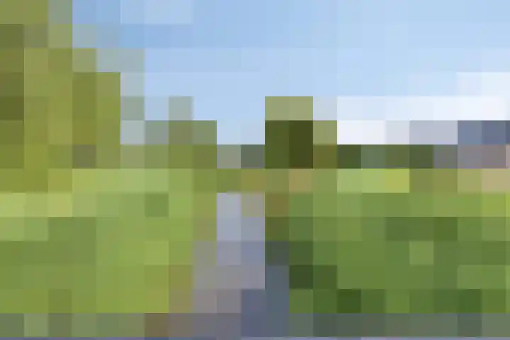 De Komme 15 Kapelle thumbnail 43