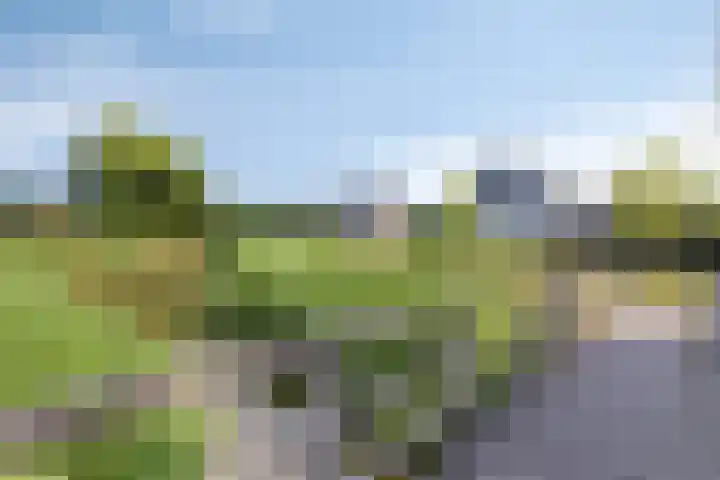 De Komme 15 Kapelle thumbnail 44