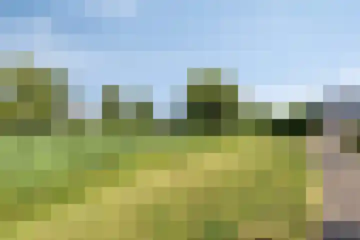 De Komme 15 Kapelle thumbnail 45
