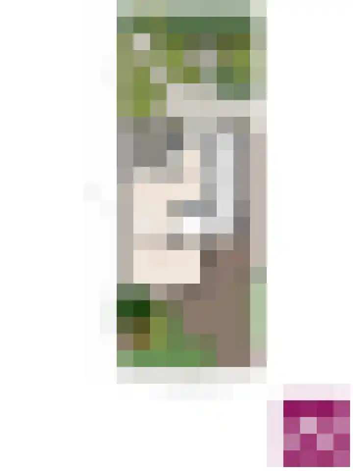 De Komme 15 Kapelle thumbnail 47