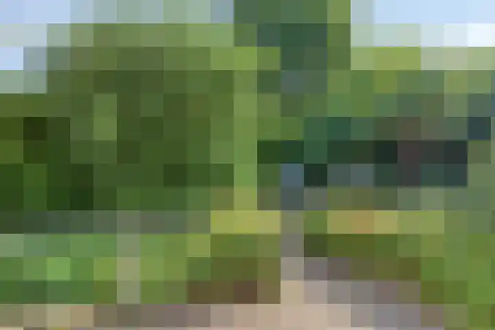 De Komme 15 Kapelle thumbnail 5