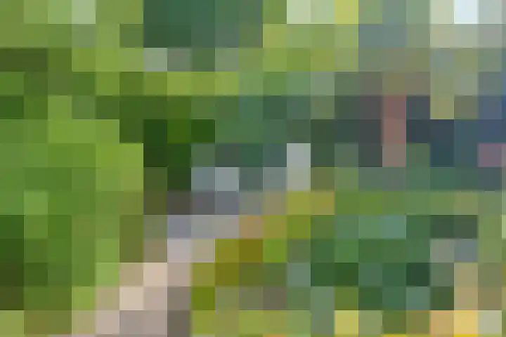 De Komme 15 Kapelle thumbnail 6