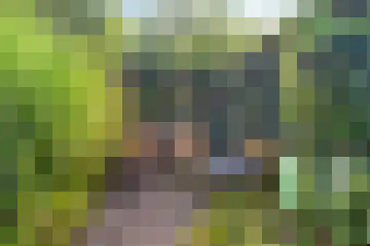De Komme 15 Kapelle thumbnail 7