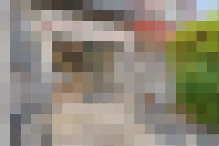 De Komme 15 Kapelle thumbnail 9