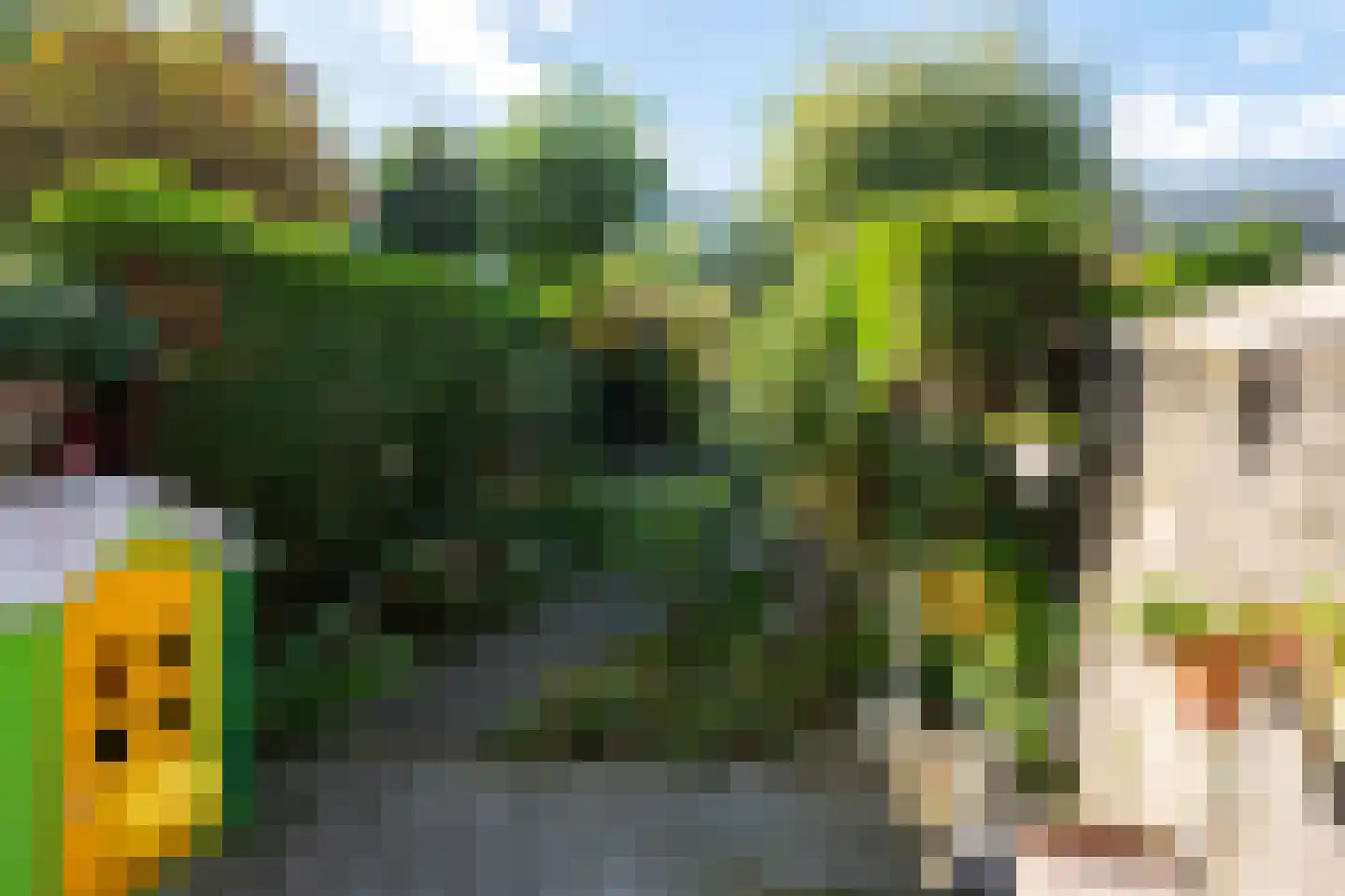 De Kommert 18 Heerlen thumbnail 20