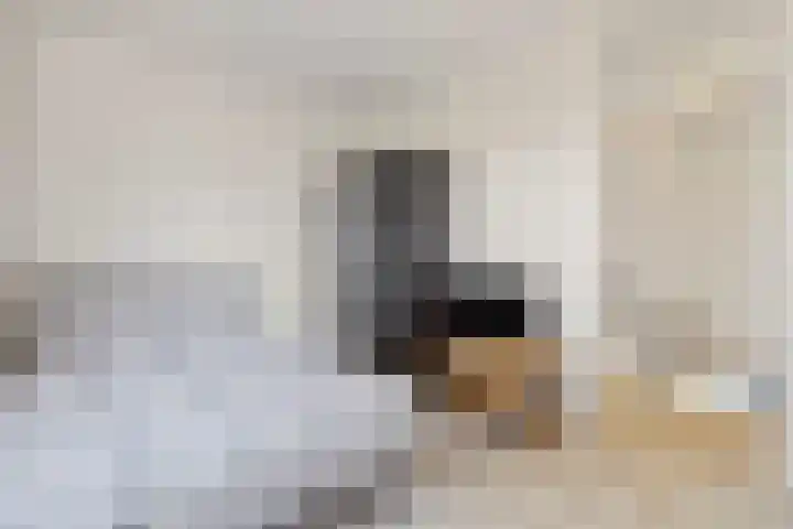 De Kommert 36 Heerlen thumbnail 37