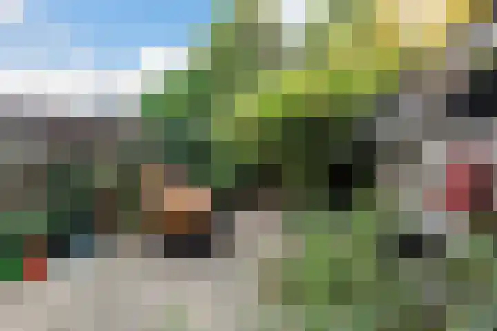 De Kommert 44 Heerlen thumbnail 33