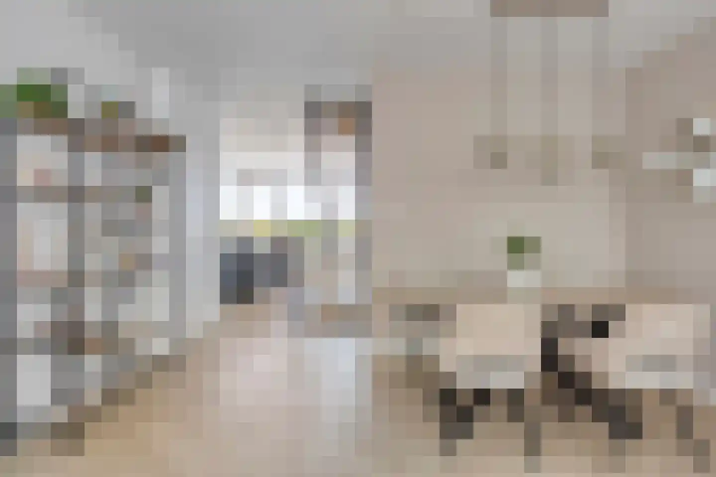 De Kommert 72 Heerlen thumbnail 20