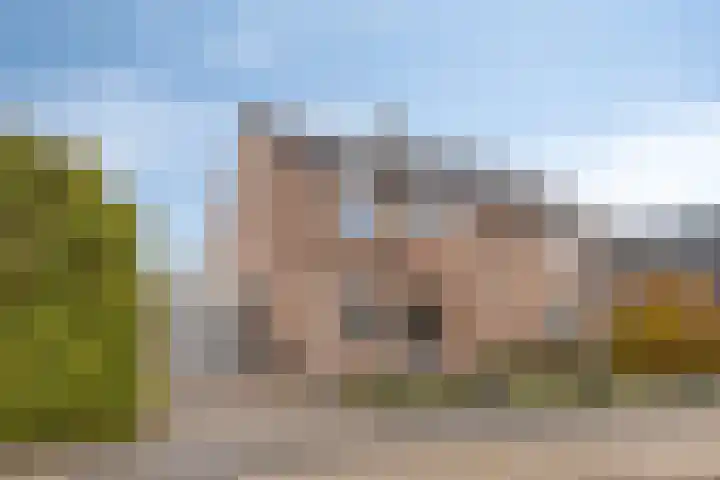 De Kongo 4 Drunen