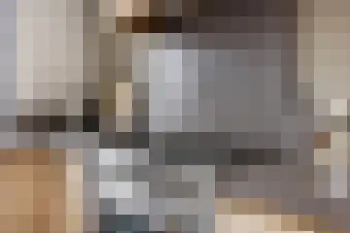 De Kongo 4 Drunen thumbnail 12