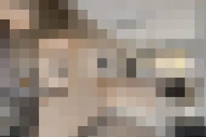 De Kongo 4 Drunen thumbnail 14