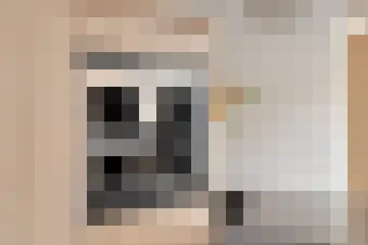 De Kongo 4 Drunen thumbnail 15