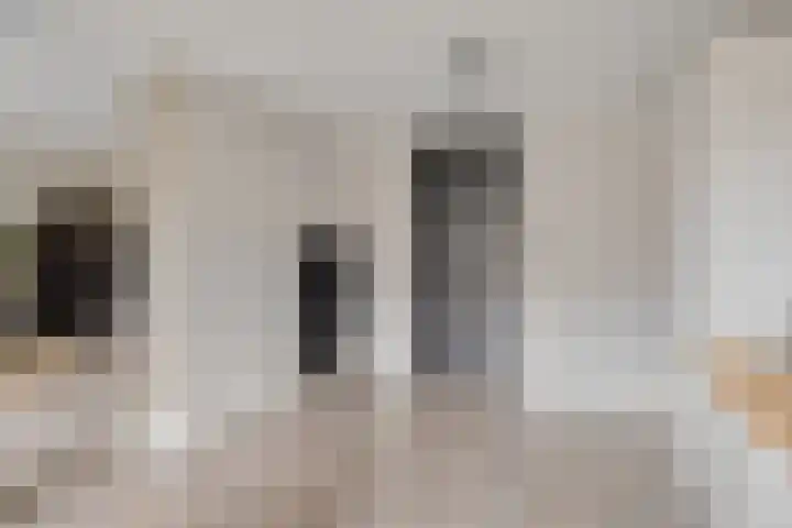 De Kongo 4 Drunen thumbnail 17