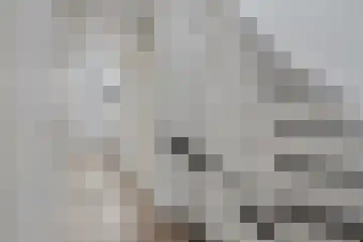 De Kongo 4 Drunen thumbnail 19