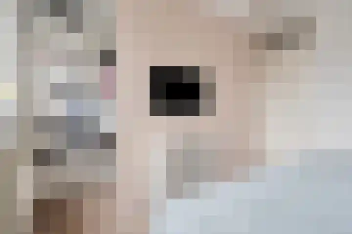 De Kongo 4 Drunen thumbnail 21