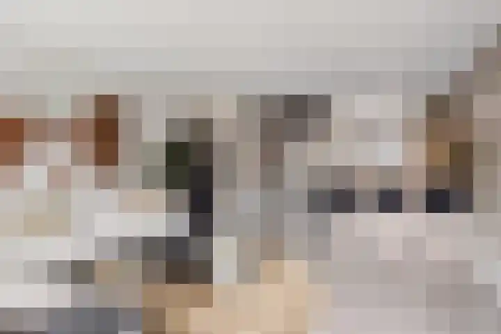 De Kongo 4 Drunen foto 3