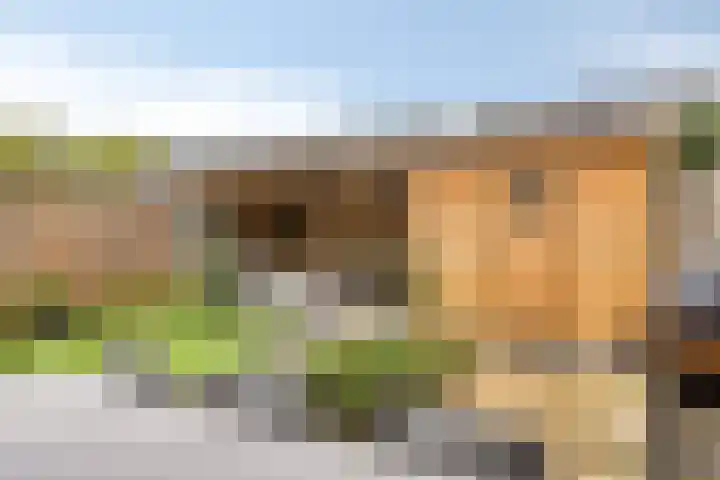 De Kongo 4 Drunen thumbnail 30