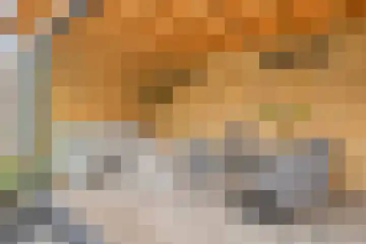 De Kongo 4 Drunen thumbnail 32