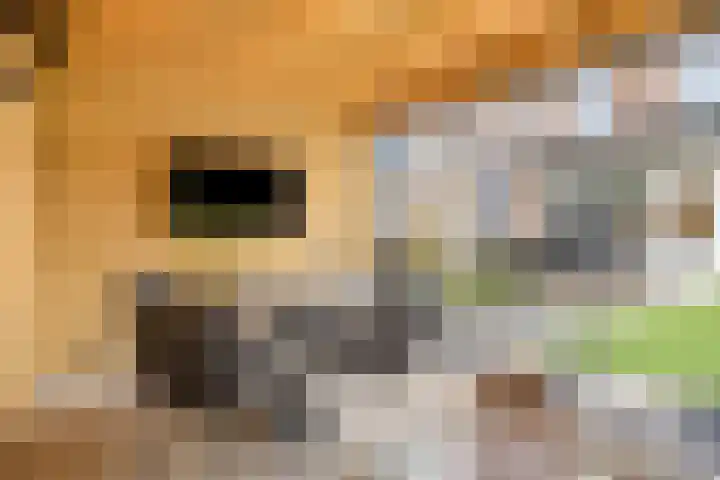 De Kongo 4 Drunen thumbnail 33