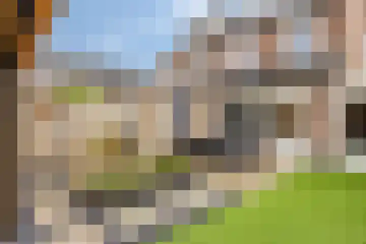 De Kongo 4 Drunen thumbnail 35