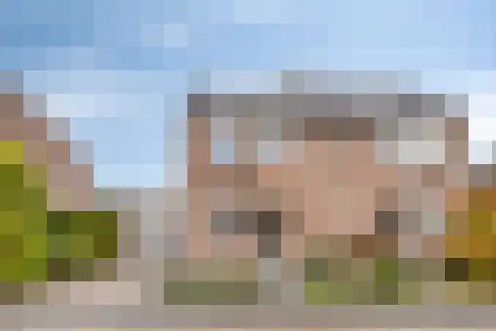 De Kongo 4 Drunen thumbnail 38