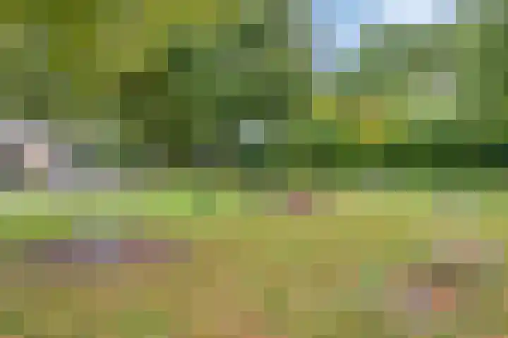 De Kongo 4 Drunen thumbnail 41