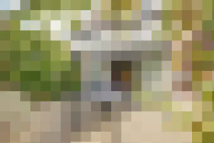 De Konick 12 Dronten thumbnail 28