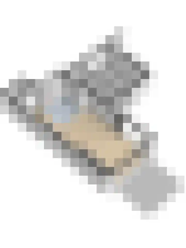 De Konick 12 Dronten thumbnail 37