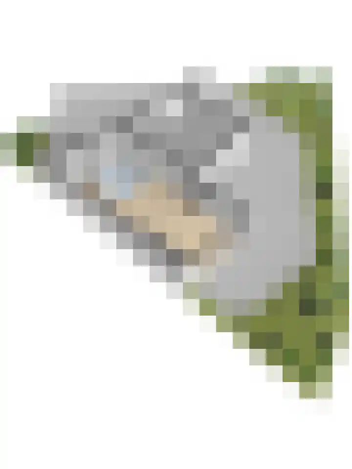 De Konick 12 Dronten thumbnail 40