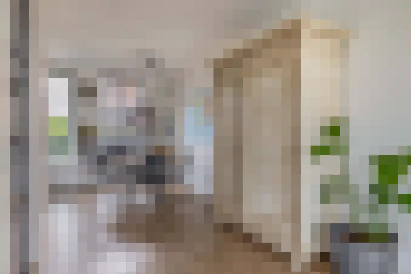De Koning 9 Assendelft thumbnail 10