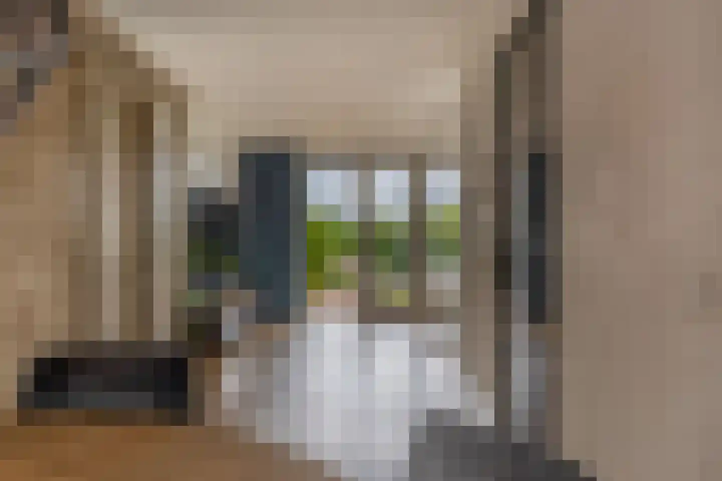De Koning 9 Assendelft thumbnail 11